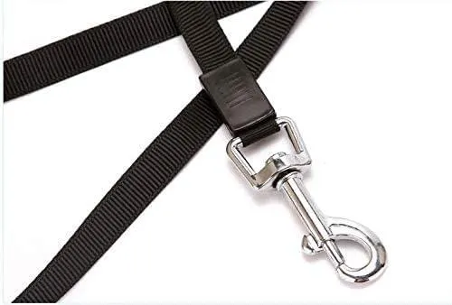 500 cm Dog & Cat Strap Leash (Multicolor)