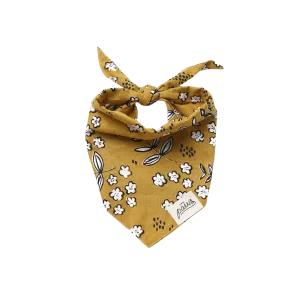 Bandanas - Goldie