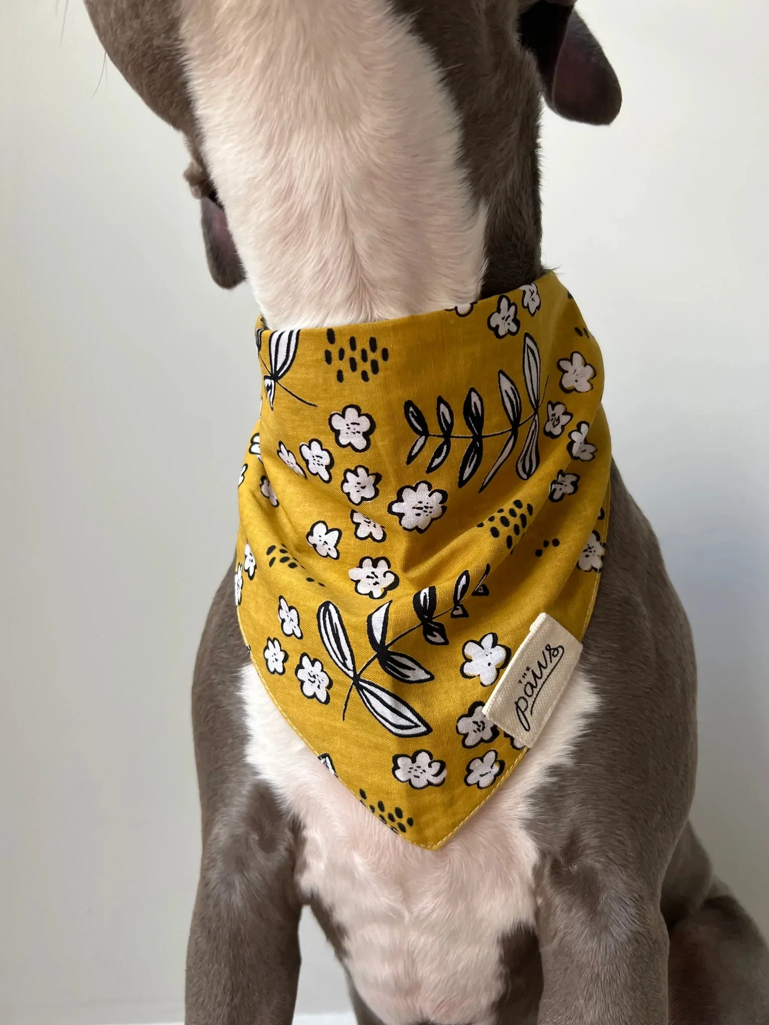 Bandanas - Goldie