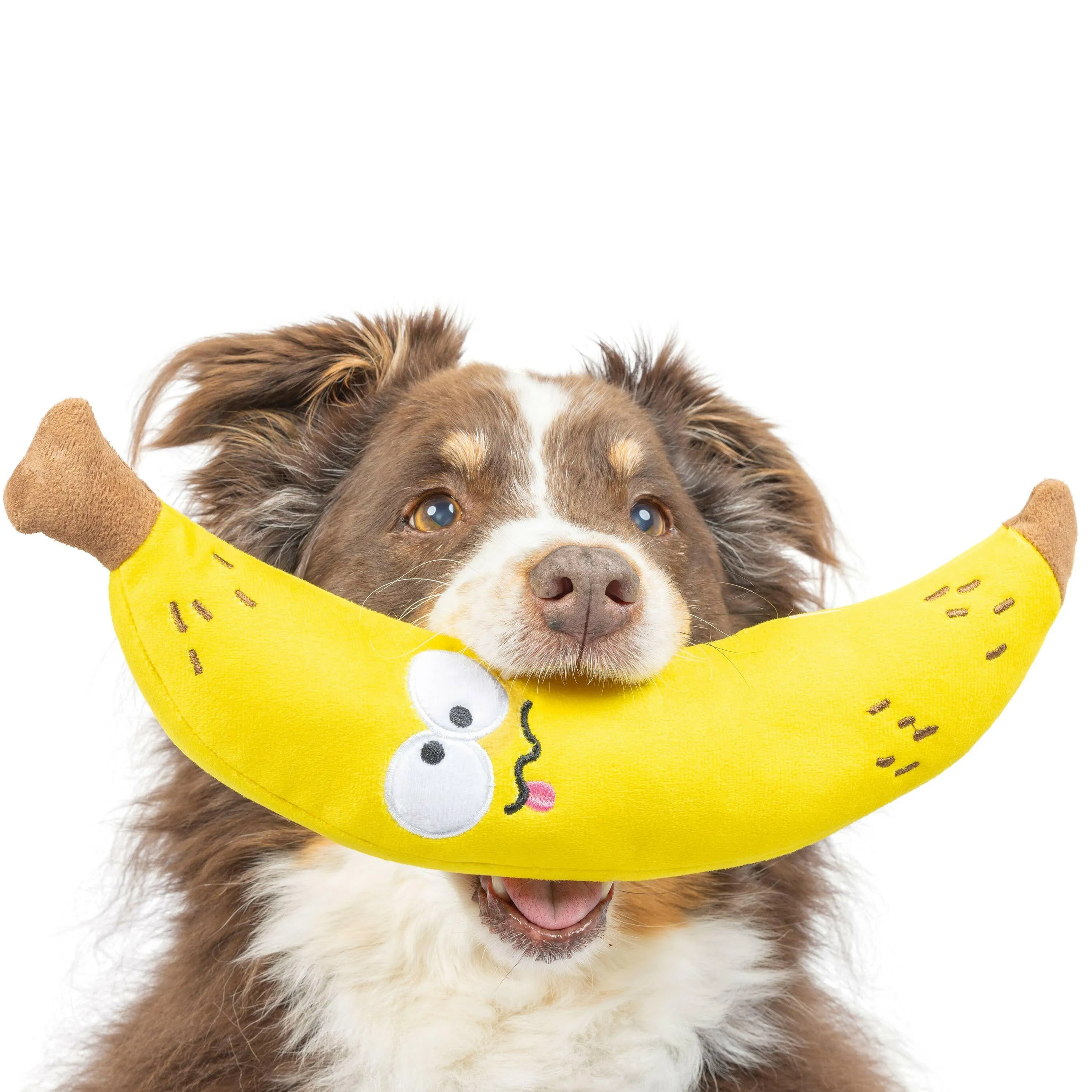 Bruiser Banana Dog Toy