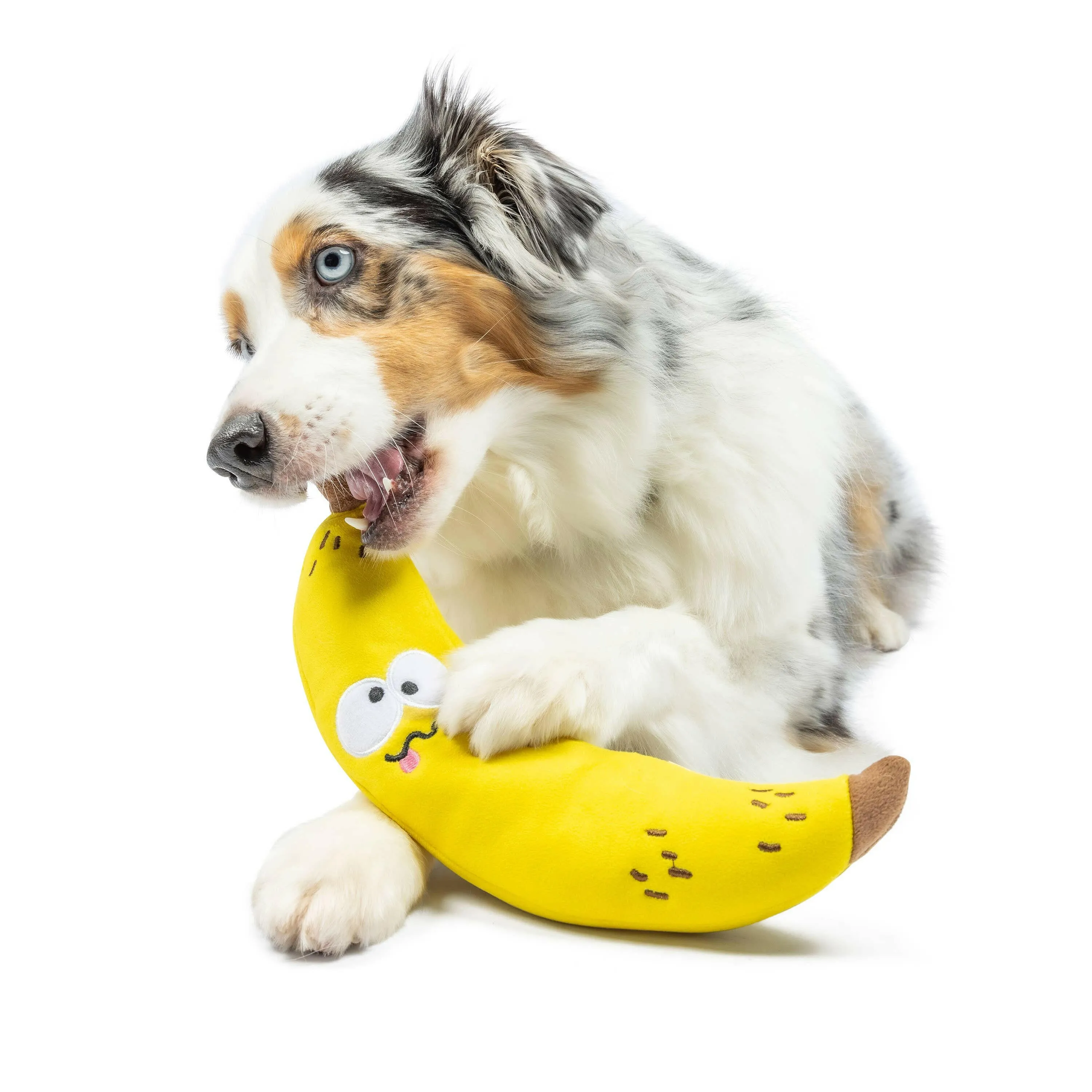 Bruiser Banana Dog Toy