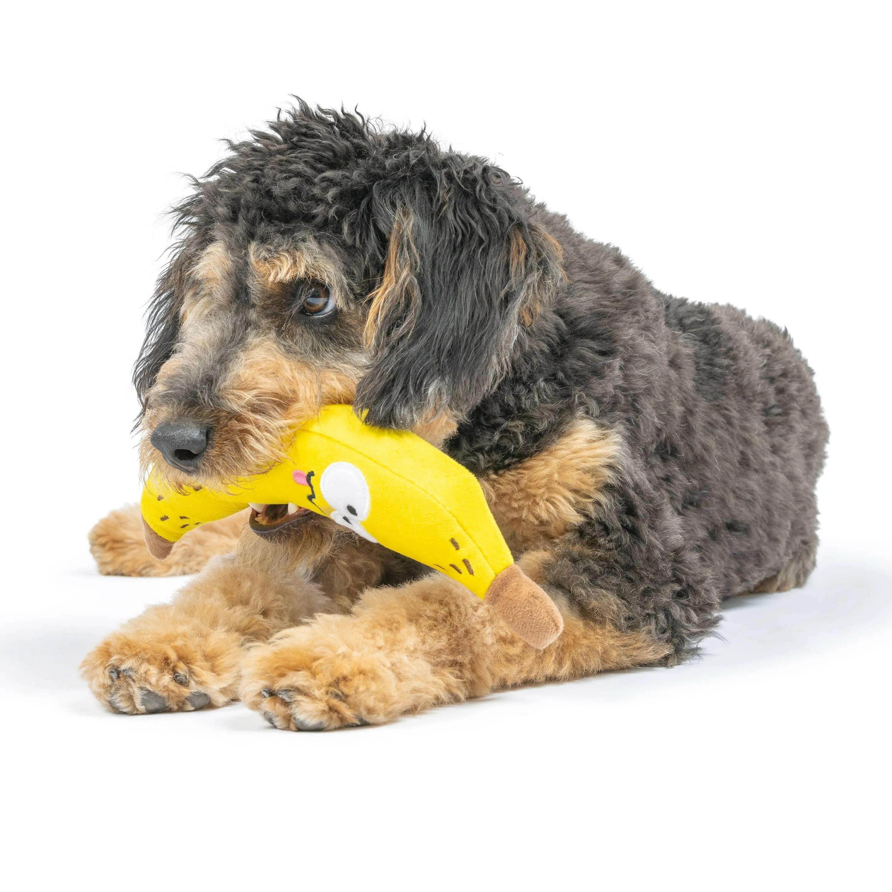 Bruiser Banana Dog Toy