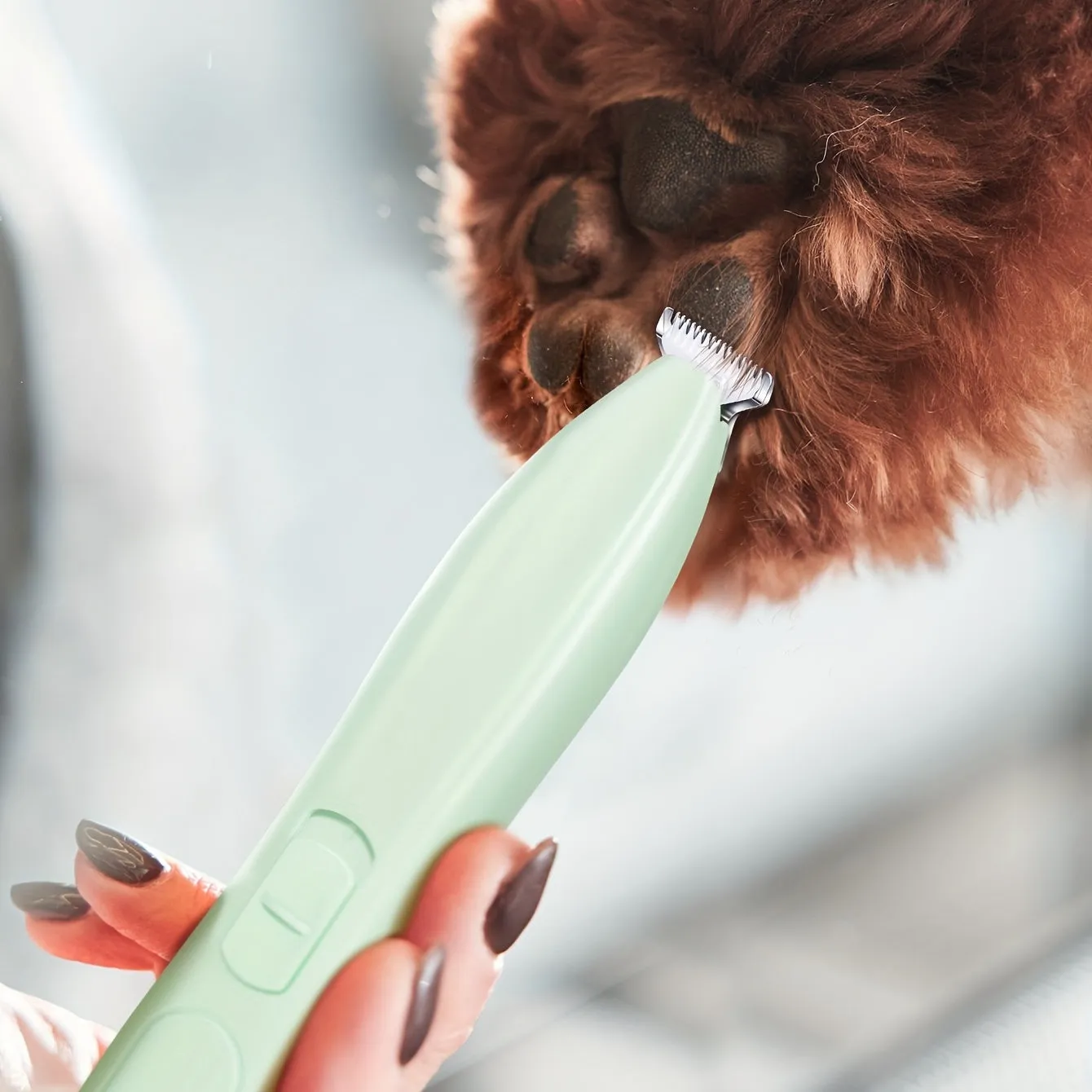 Enhance Pet Grooming with Pro Electric Dog Clippers