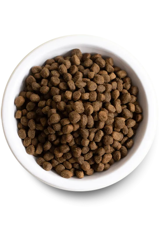 Open Farm Ancient Grains High-Protein Puppy Food Dry Dog Food