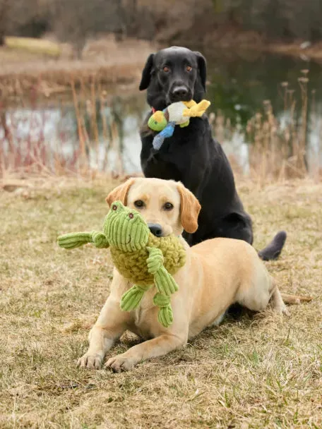 ORVIS MINI ANIMAL SQUEAKY TOYS