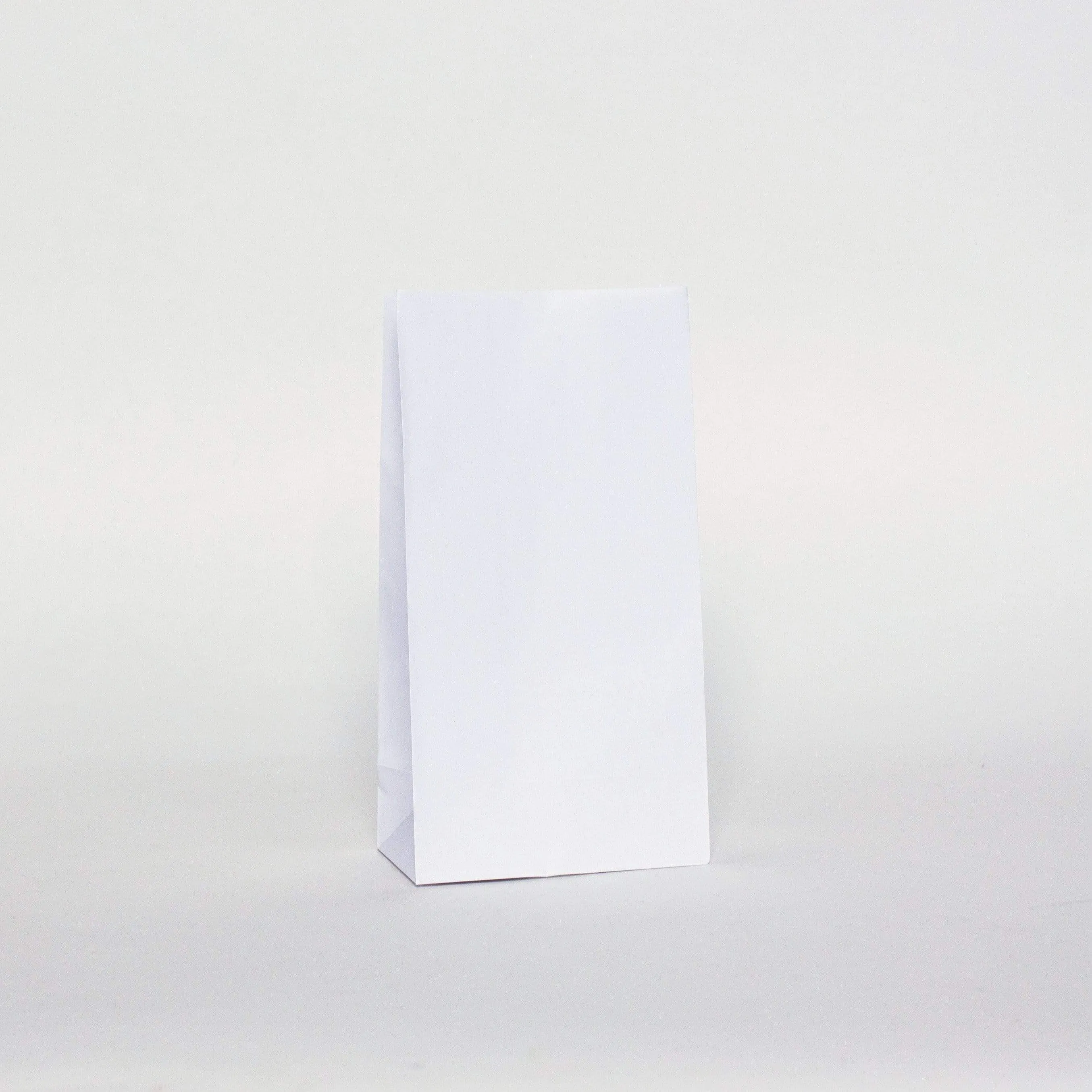 Plain Party Bags White (12 Pack)