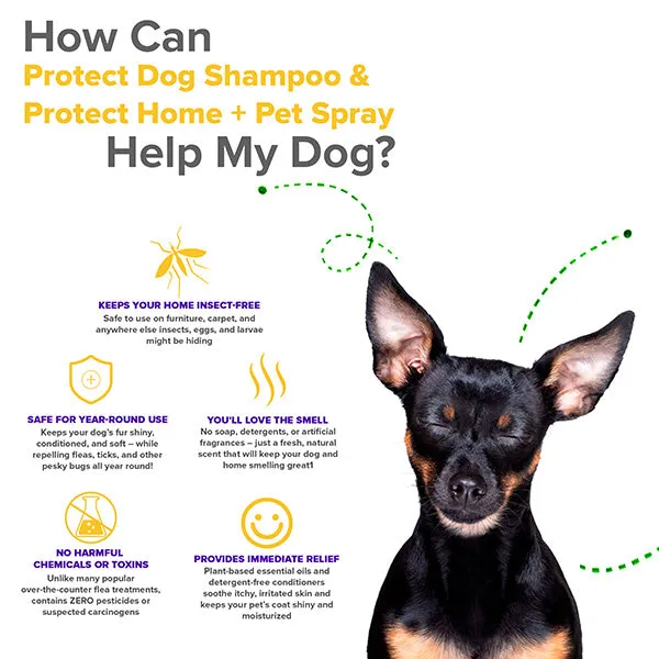 Protect Shampoo | Protect Home Spray