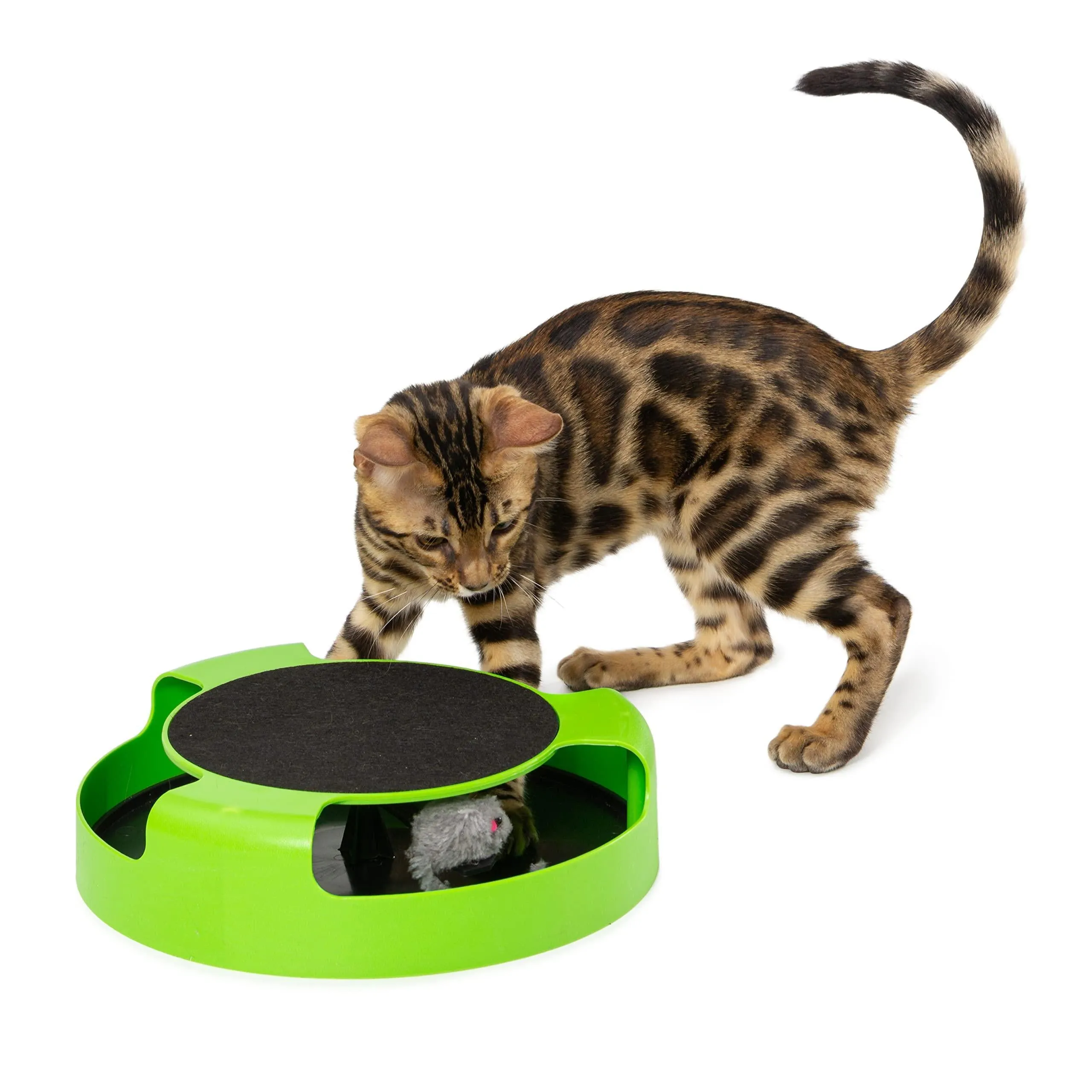 PUREVACY Interactive Cat Toys for Indoor Cats. Green Spinning