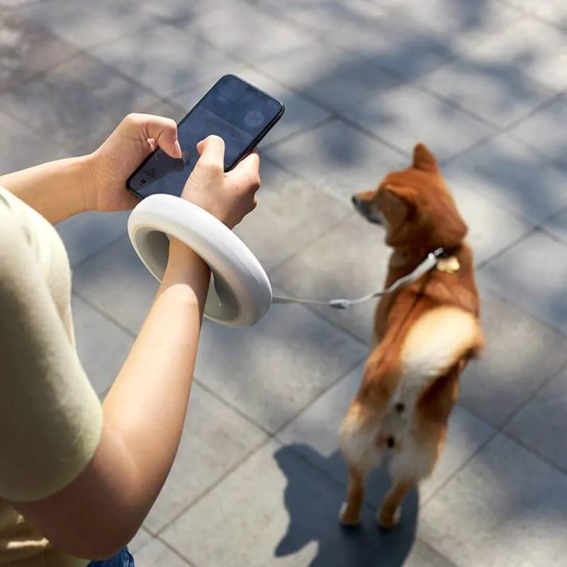 Retractable LED Leash Ring Collar