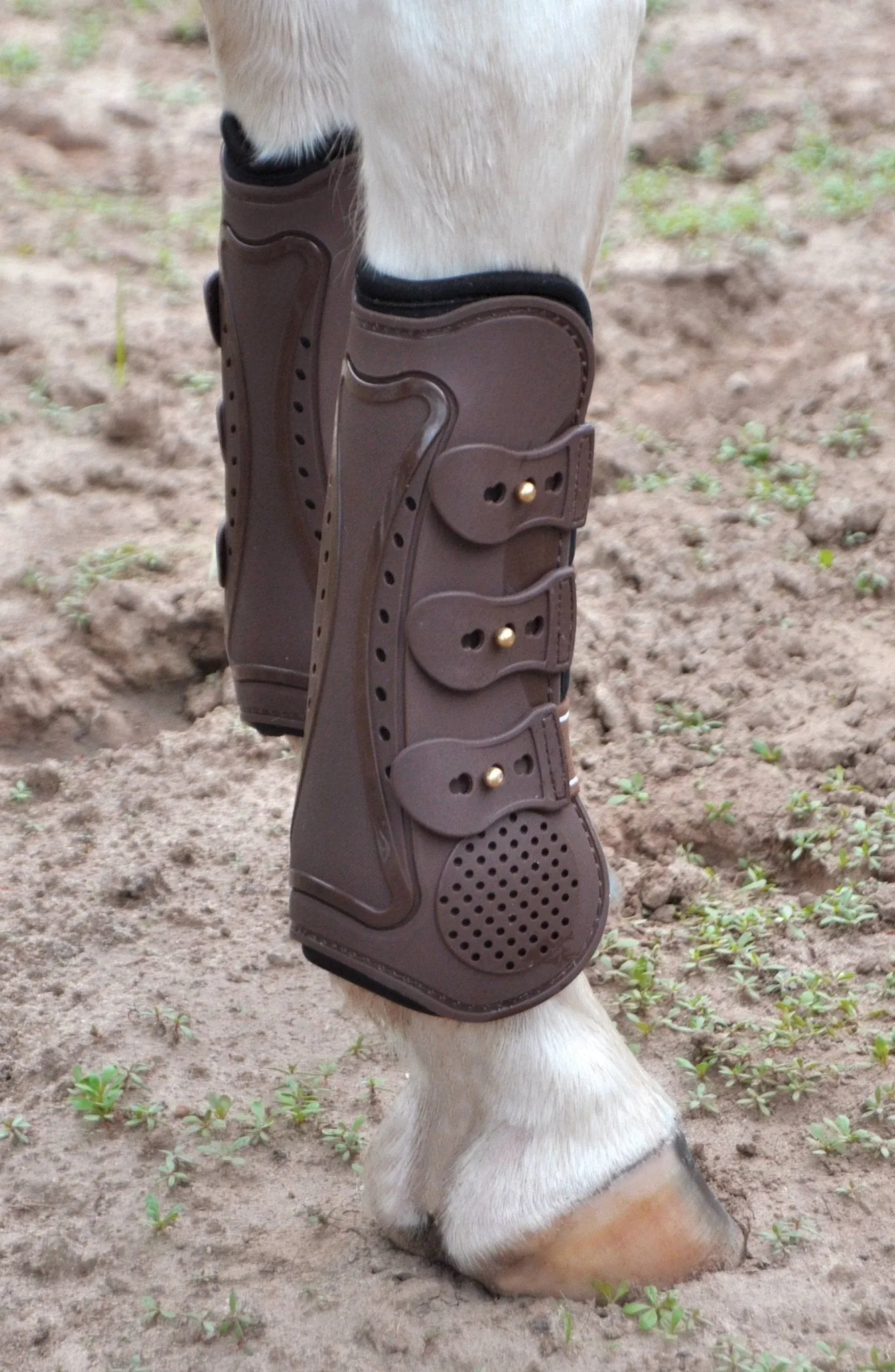 Uniquely English Tendon Boots, Medium