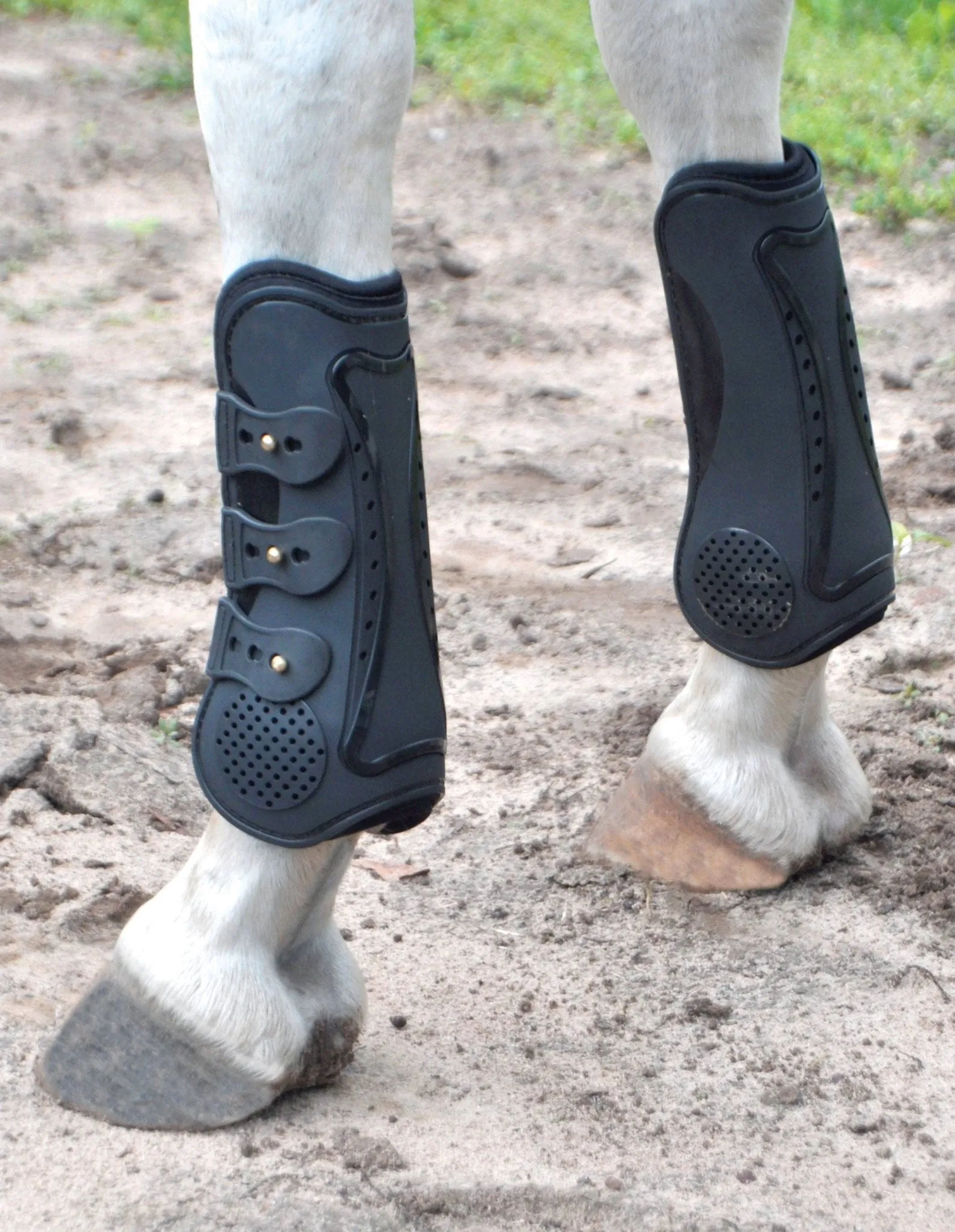 Uniquely English Tendon Boots, Medium